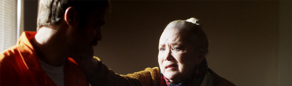 Promotional picture of Hope for the Holidays.